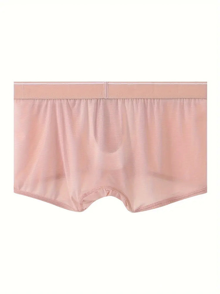 2 Pack Men's Breathable Mesh Trunks with Fly