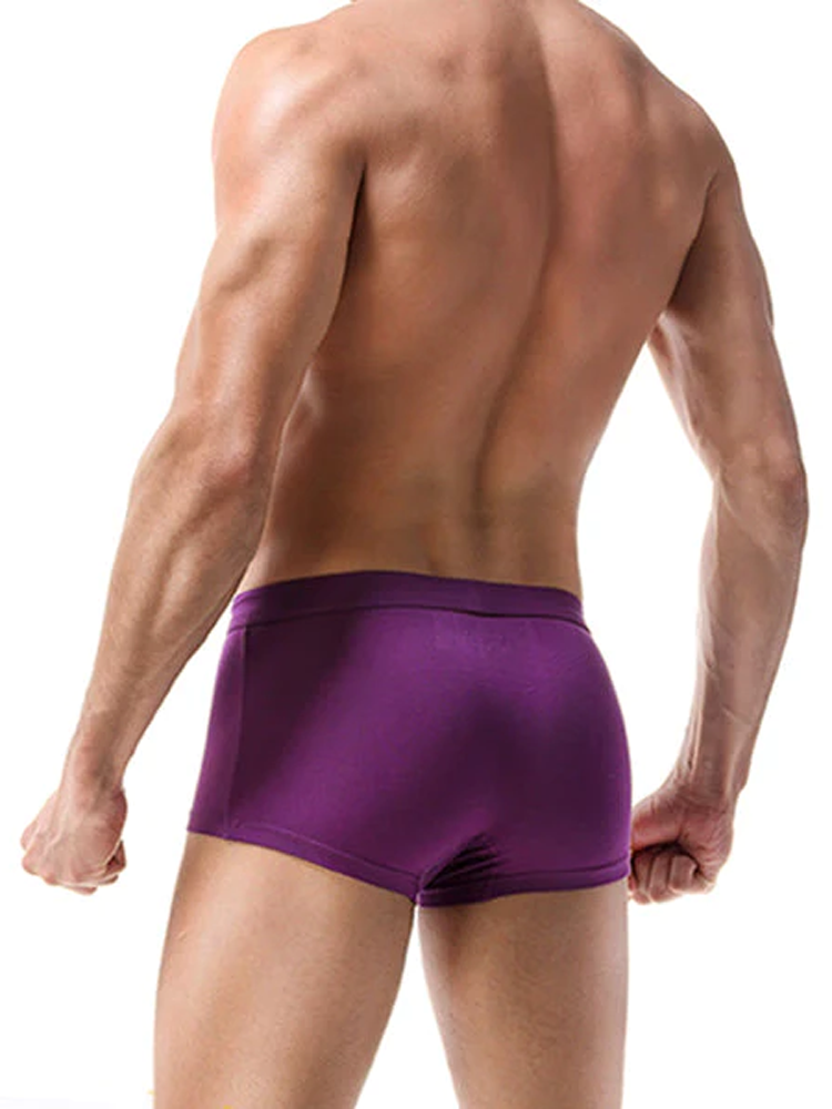 3 Pack Men's Double Pouch Underwear Separate Pouch Modal Trunks
