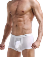 3 Pack Men's Double Pouch Underwear Separate Pouch Modal Trunks