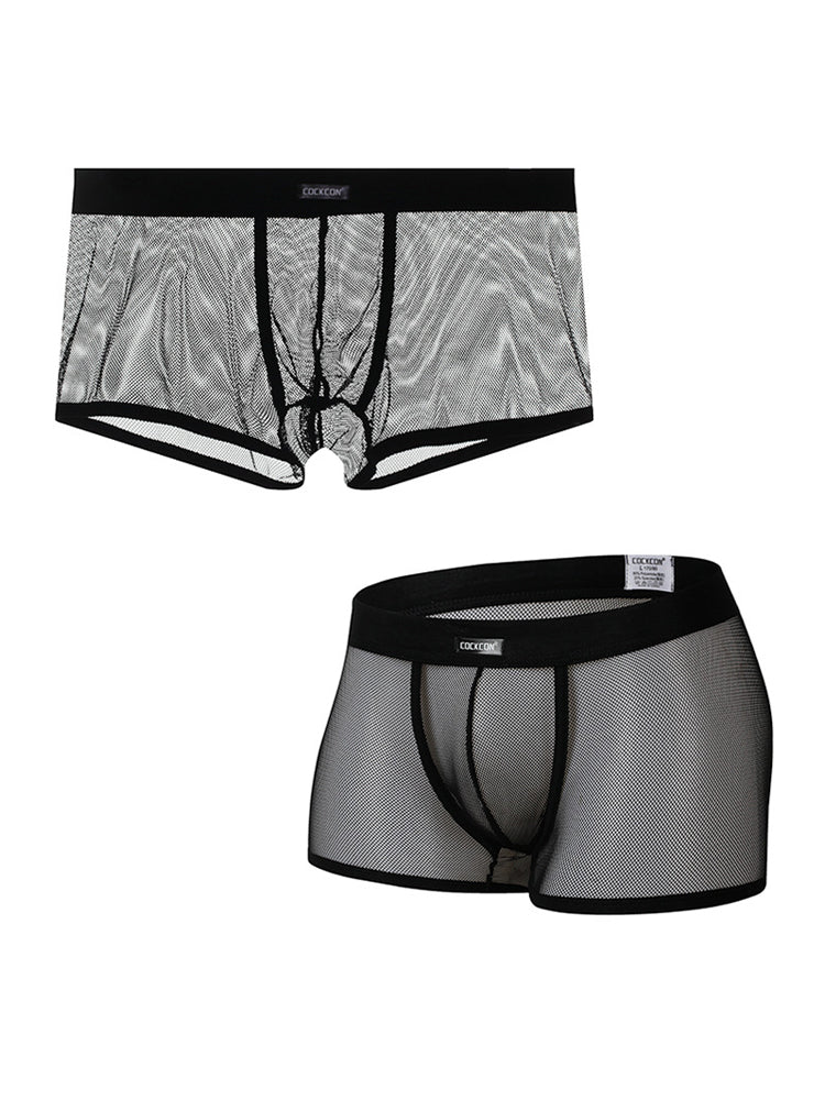 Men's Sexy Transparent Mesh Trunks