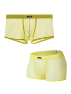 Men's Sexy Transparent Mesh Trunks