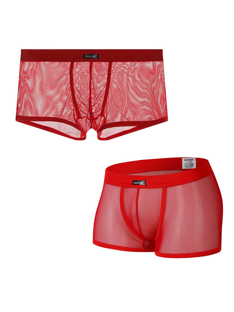 Men's Sexy Transparent Mesh Trunks