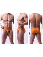 2 Pack Men's Solid Sexy Low-Rise Briefs