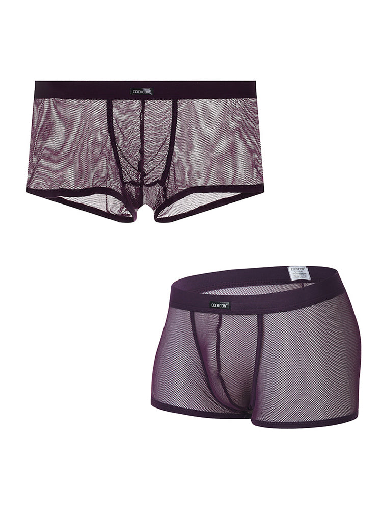 Men's Sexy Transparent Mesh Trunks