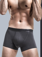 3 Pack Men's Separated Pouch Mesh Support Trunks