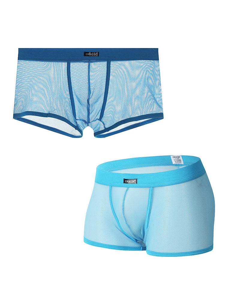 Men's Sexy Transparent Mesh Trunks