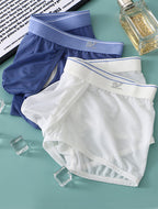 2 Pack Men's Breathable Mesh Trunks with Fly