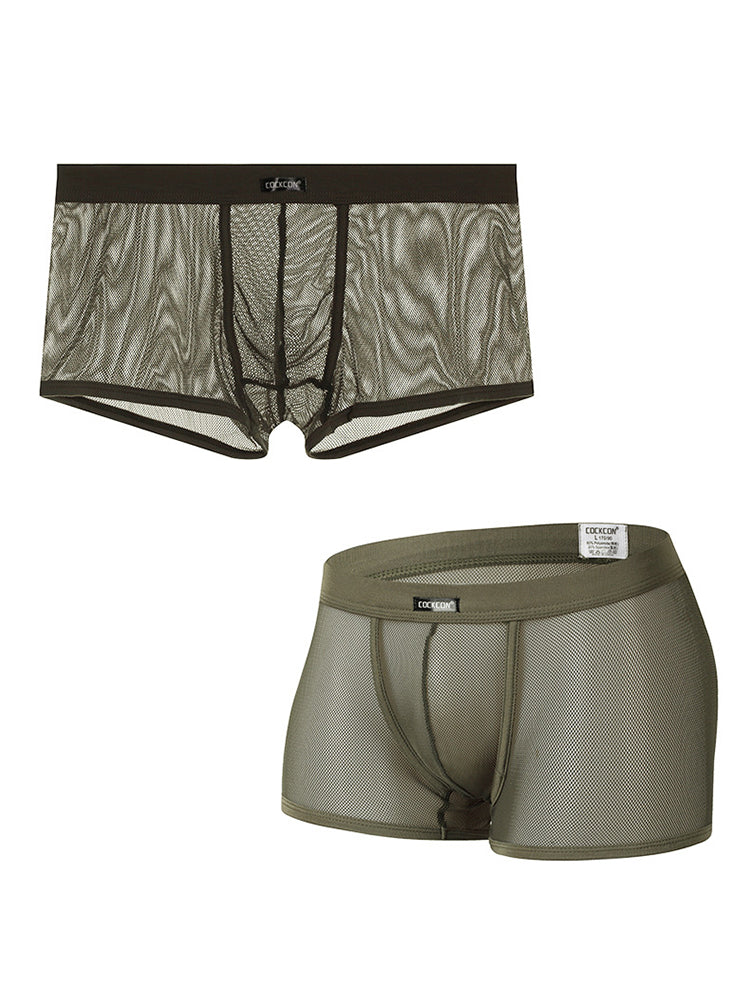 Men's Sexy Transparent Mesh Trunks