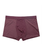 4 Pack Men’s Breathable Mesh Trunks with Antibacterial Fabric