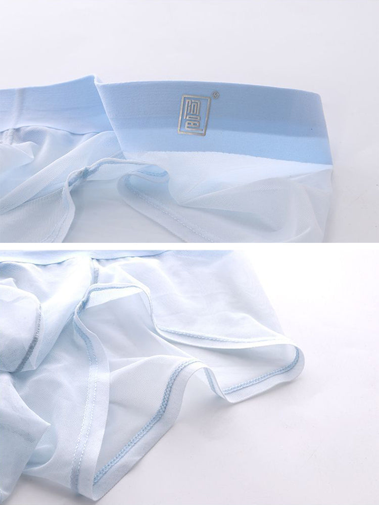 Men’s Sheer Mesh Trunks with U-Shaped Support Pouch