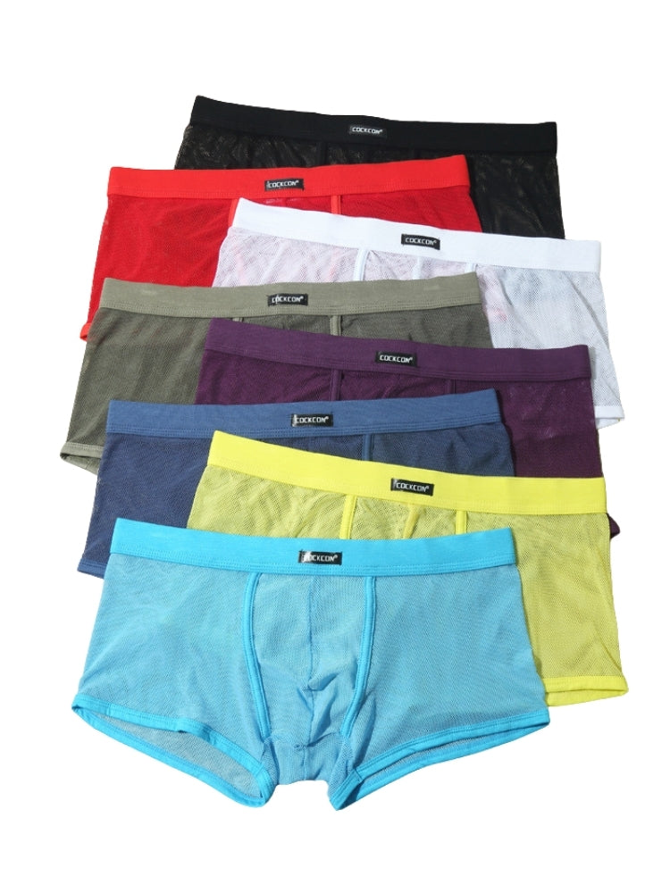 Men's Sexy Transparent Mesh Trunks
