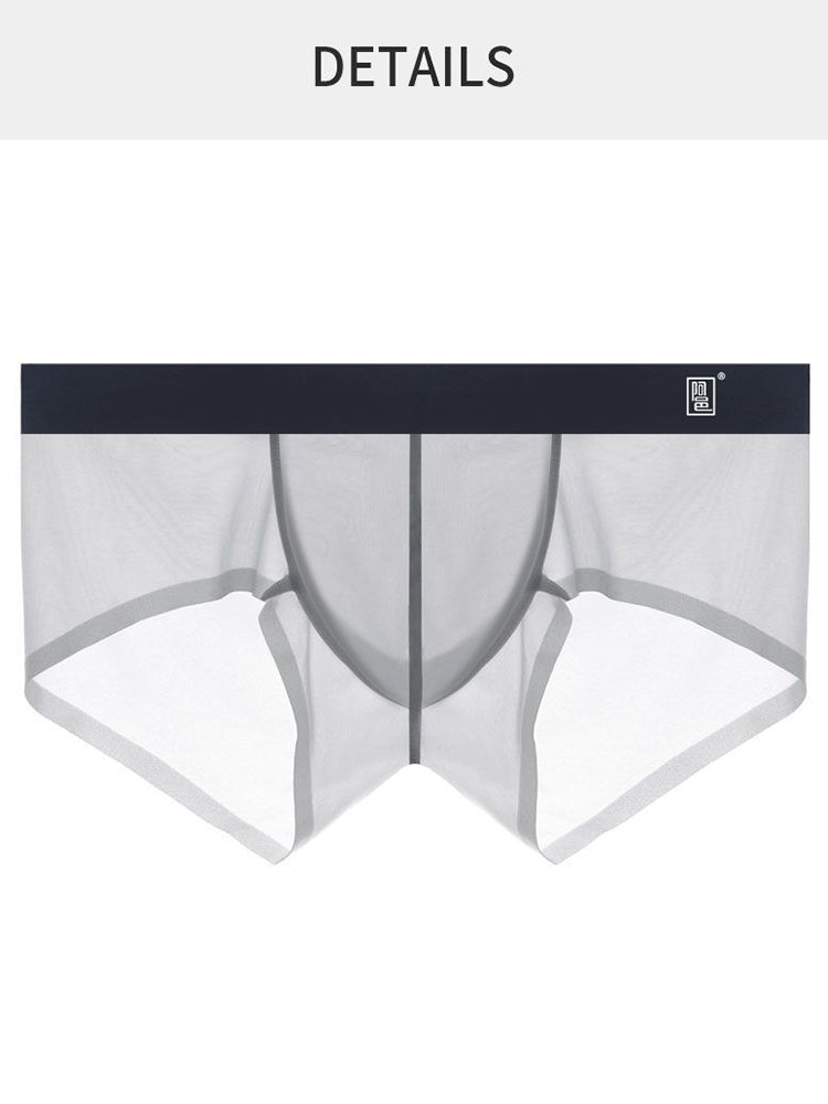 Men's Lightweight Ice Silk Seamless Trunks