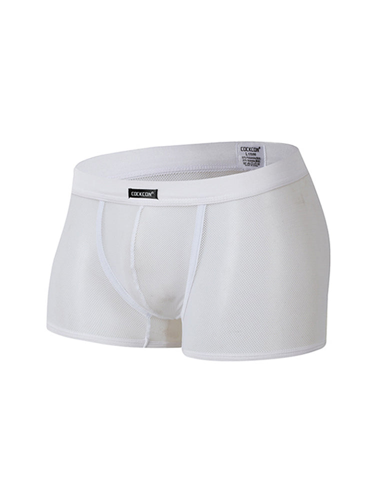 Men's Sexy Transparent Mesh Trunks