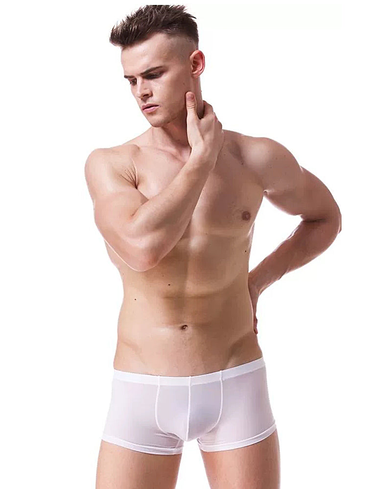 Lightweight Breathable Ice Silk U Contoured Boxers for Men