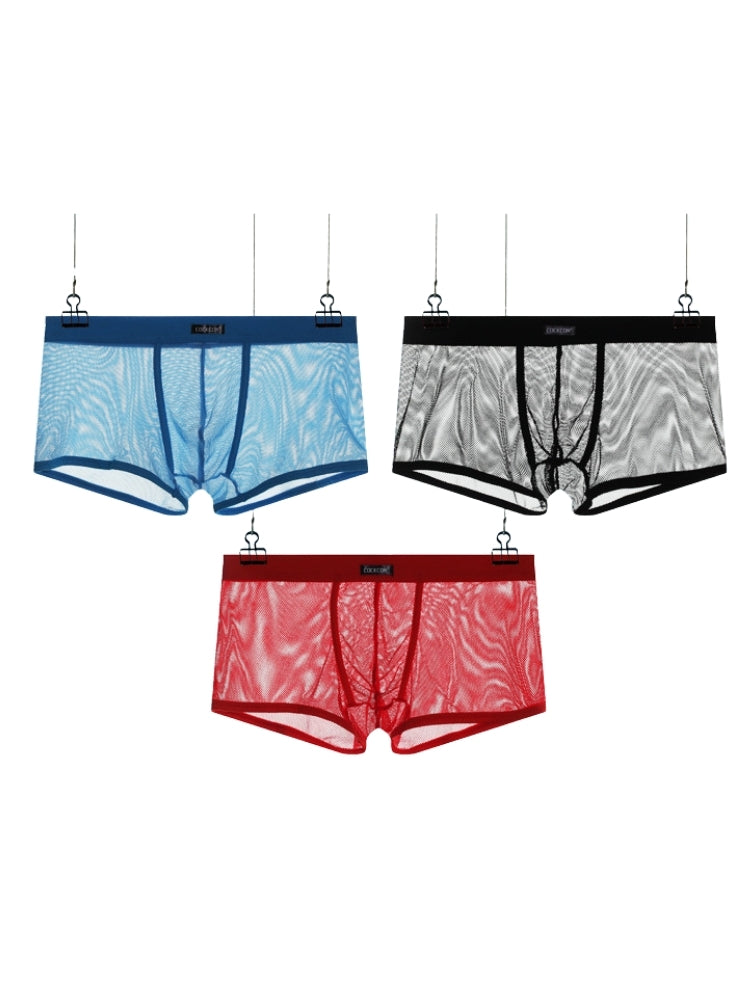 Men's Sexy Transparent Mesh Trunks