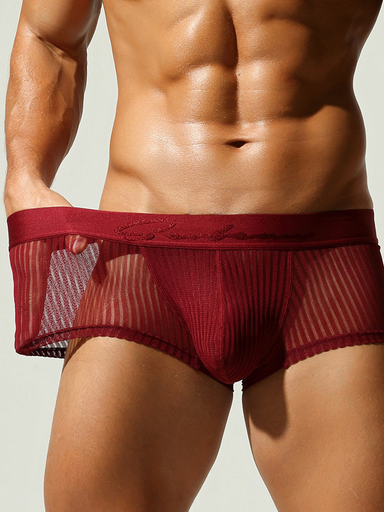 3 Pack Men's Striped Mesh Trunks with Comfort Pouch