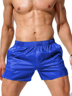 Men's Non-Lined Translucent Sexy Beach Shorts