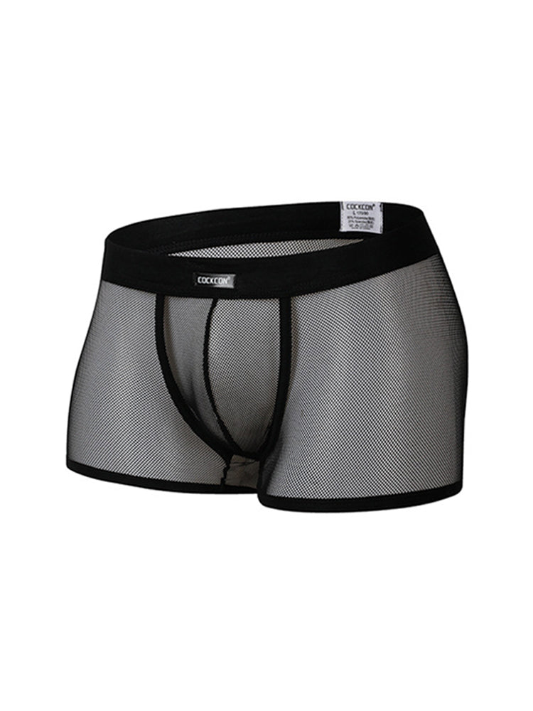 Men's Sexy Transparent Mesh Trunks