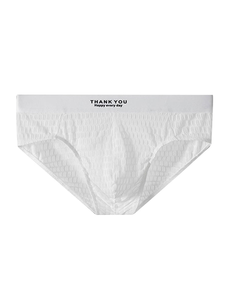 2 Pack Men's Soft & Breathable Icy Silk Quick-Dry Mid-Rise Comfort Cooling Briefs