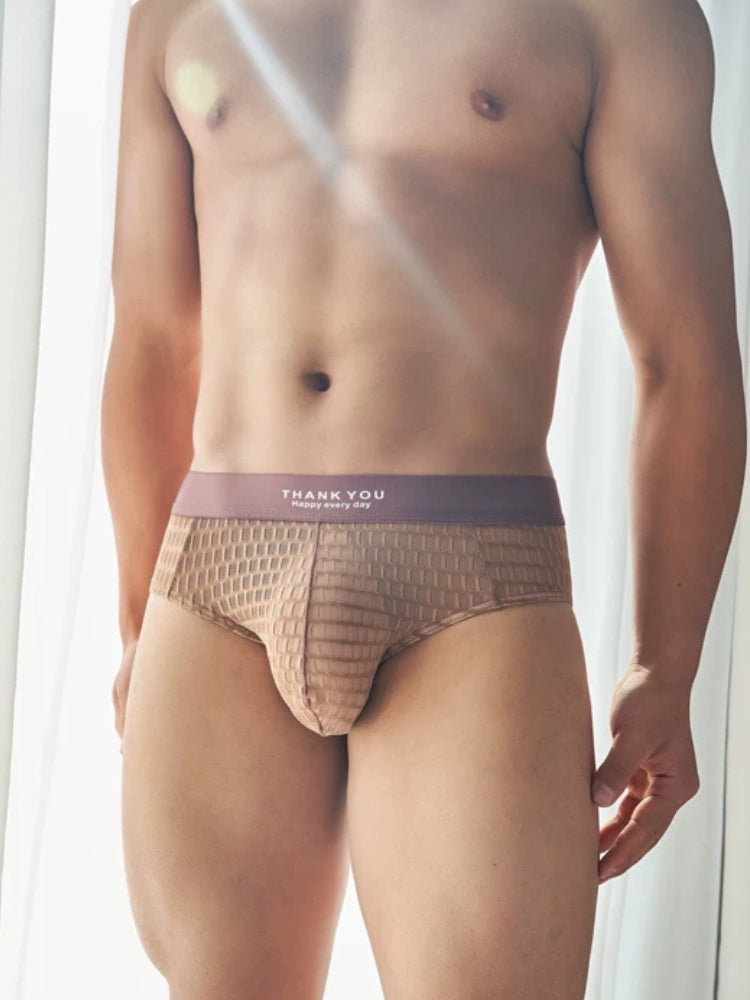 2 Pack Men's Soft & Breathable Icy Silk Quick-Dry Mid-Rise Comfort Cooling Briefs