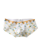 4 Pack Men’s Flower Print Pouch Silky Touch Briefs