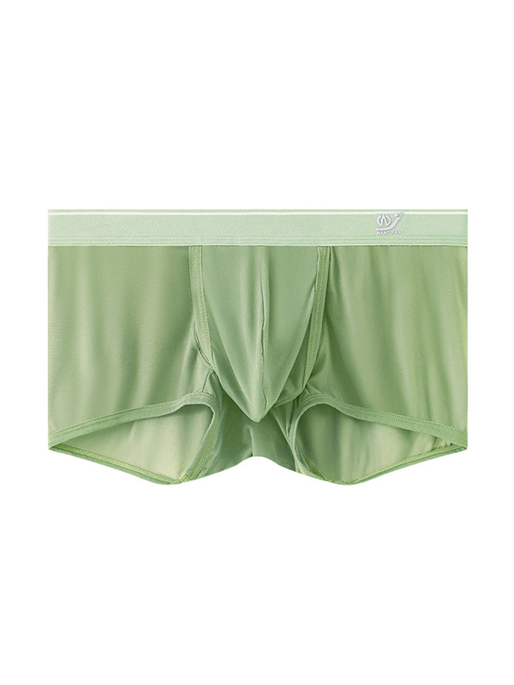 2 Pack Men's Breathable Mesh Trunks with Fly
