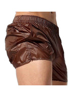 Men's Non-Lined Translucent Sexy Beach Shorts