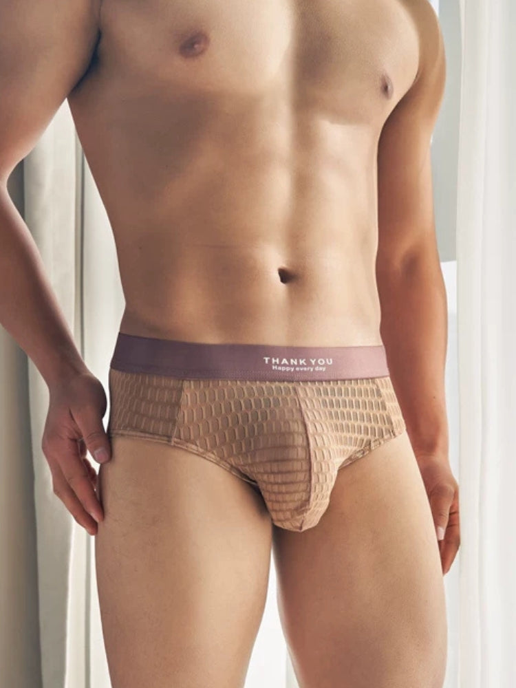 2 Pack Men's Soft & Breathable Icy Silk Quick-Dry Mid-Rise Comfort Cooling Briefs