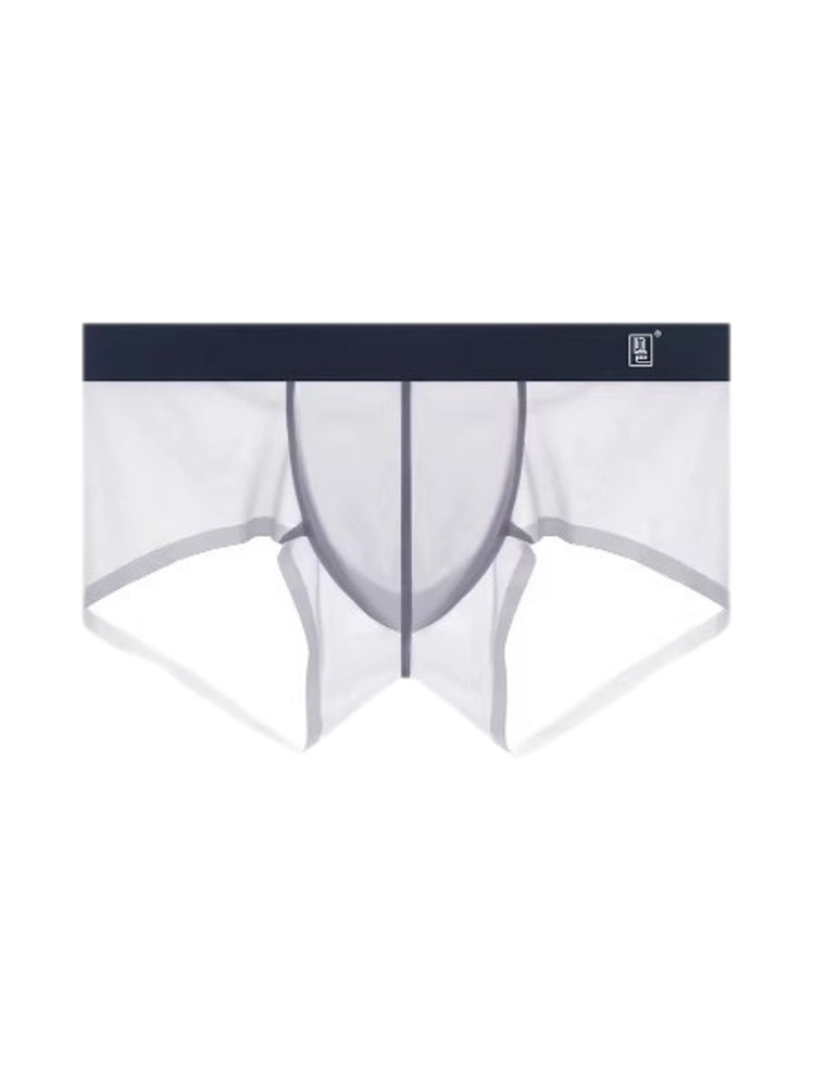 Men's Lightweight Ice Silk Seamless Trunks