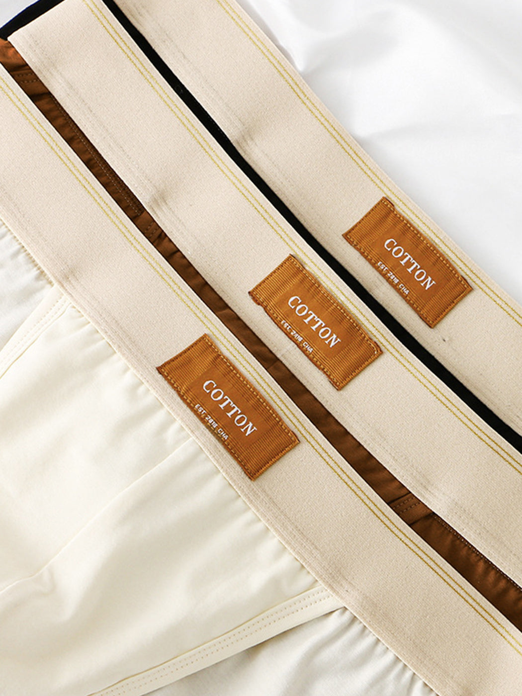 3 Pack Men's Sexy High Cut Cotton Bikini