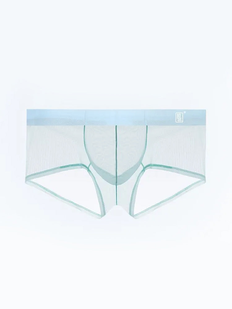Men’s Sheer Mesh Trunks with U-Shaped Support Pouch