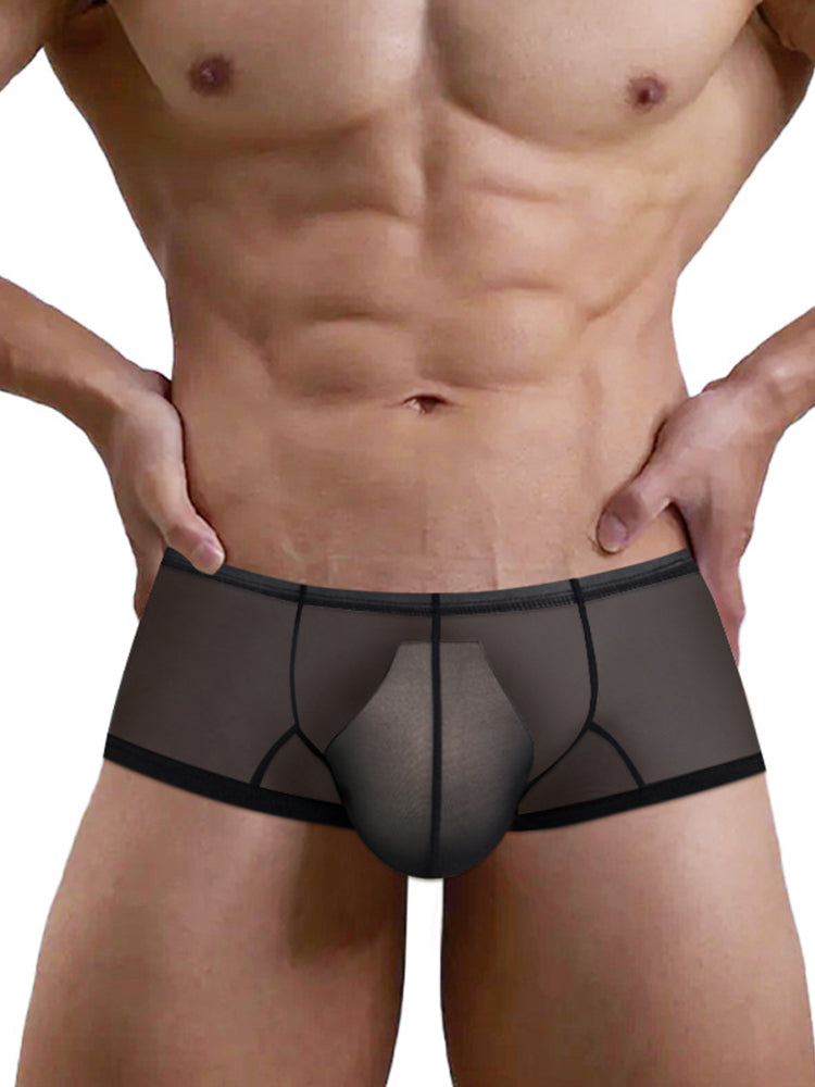 2 Pack Men's Breathable Sheer Elegance Quick-Dry Ultra-Soft Trunks