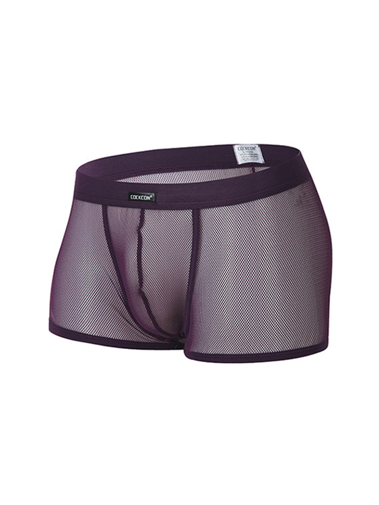 Men's Sexy Transparent Mesh Trunks