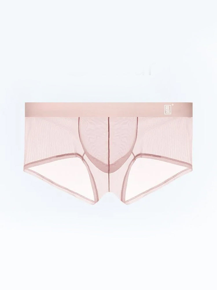 Men’s Sheer Mesh Trunks with U-Shaped Support Pouch