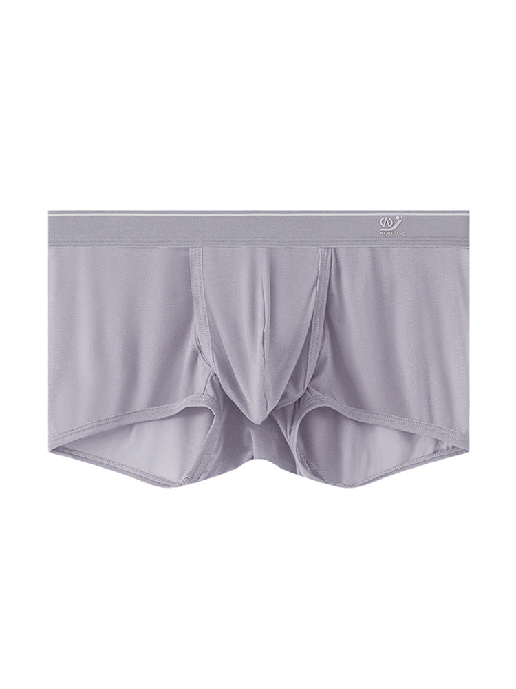 2 Pack Men's Breathable Mesh Trunks with Fly