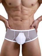 2 Pack Men's Breathable Sheer Elegance Quick-Dry Ultra-Soft Trunks