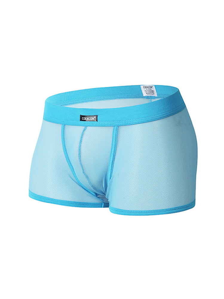 Men's Sexy Transparent Mesh Trunks