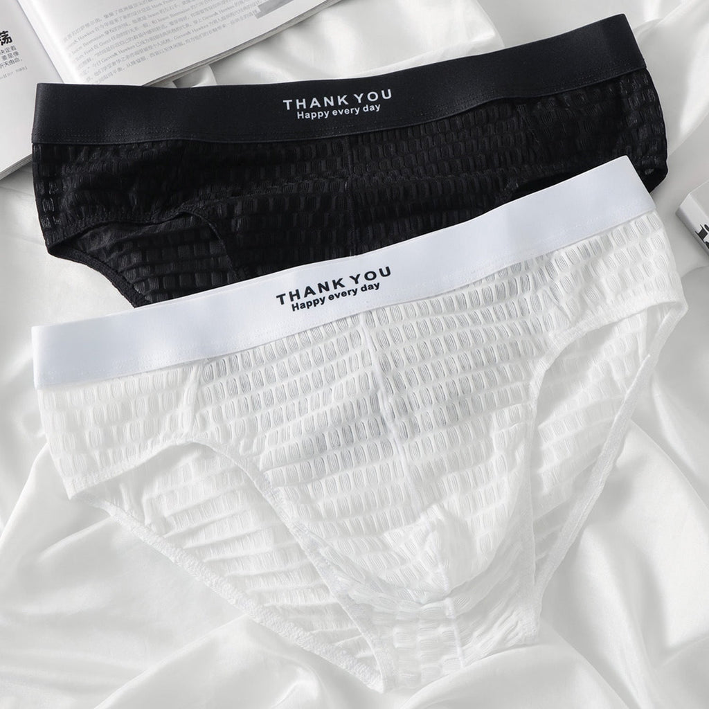 2 Pack Men's Soft & Breathable Icy Silk Quick-Dry Mid-Rise Comfort Cooling Briefs
