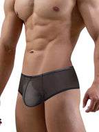 2 Pack Men's Breathable Sheer Elegance Quick-Dry Ultra-Soft Trunks