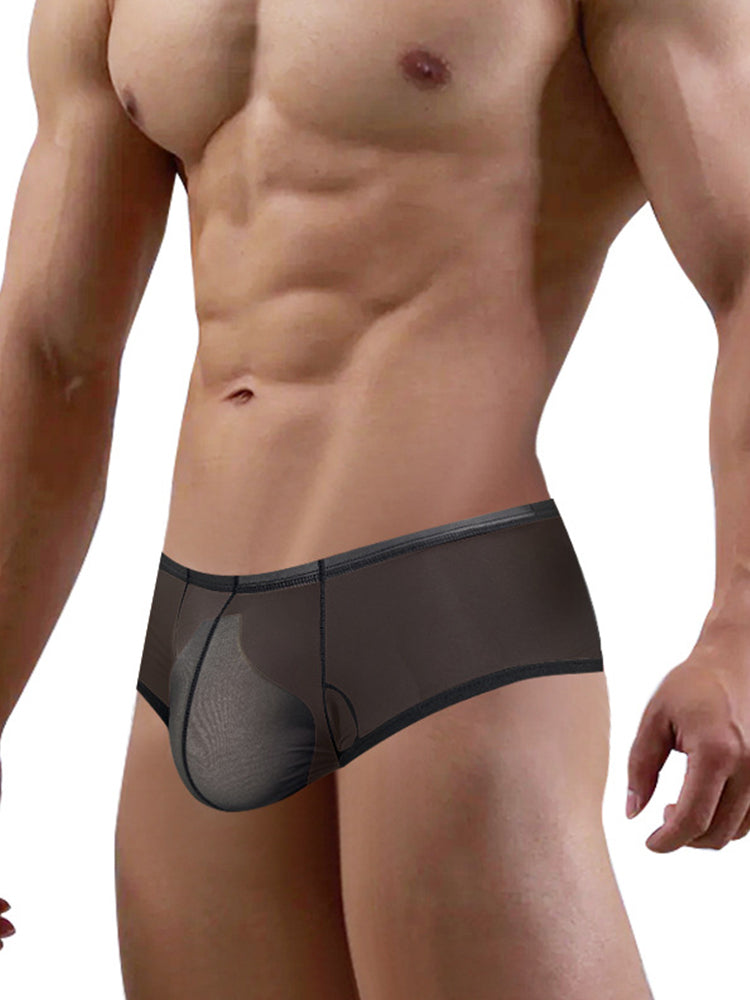 2 Pack Men's Breathable Sheer Elegance Quick-Dry Ultra-Soft Trunks
