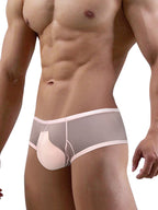 2 Pack Men's Breathable Sheer Elegance Quick-Dry Ultra-Soft Trunks
