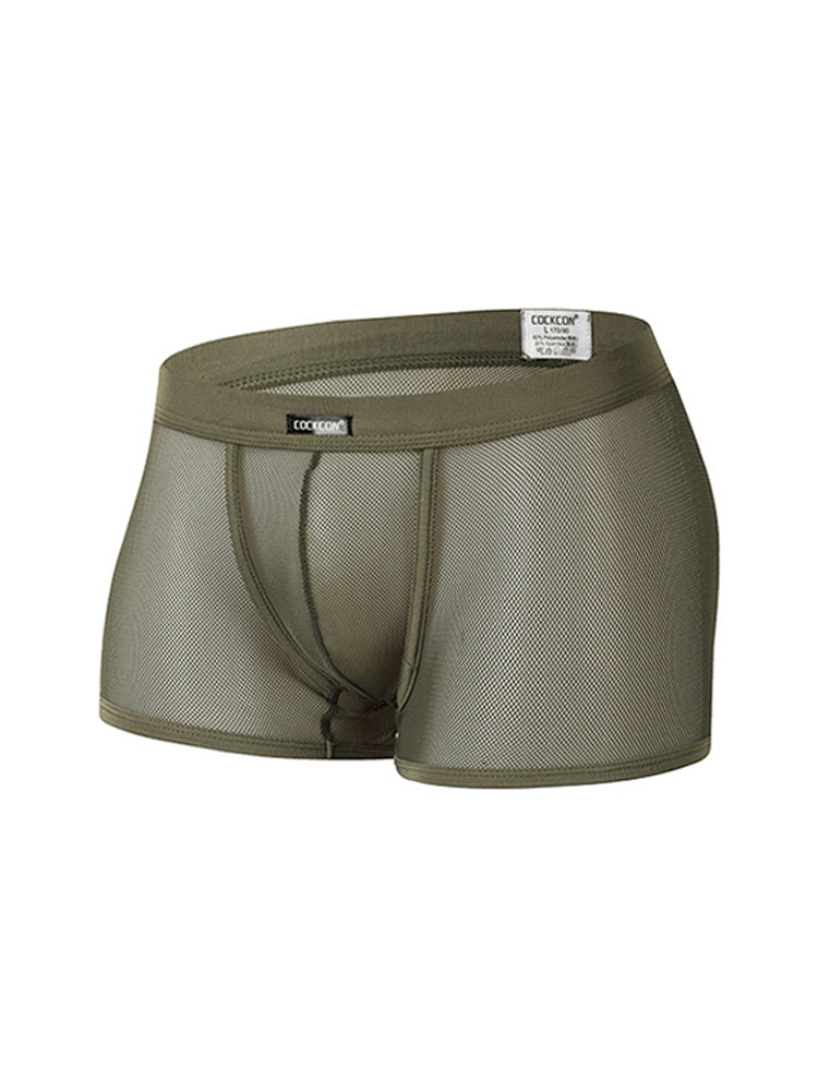 Men's Sexy Transparent Mesh Trunks
