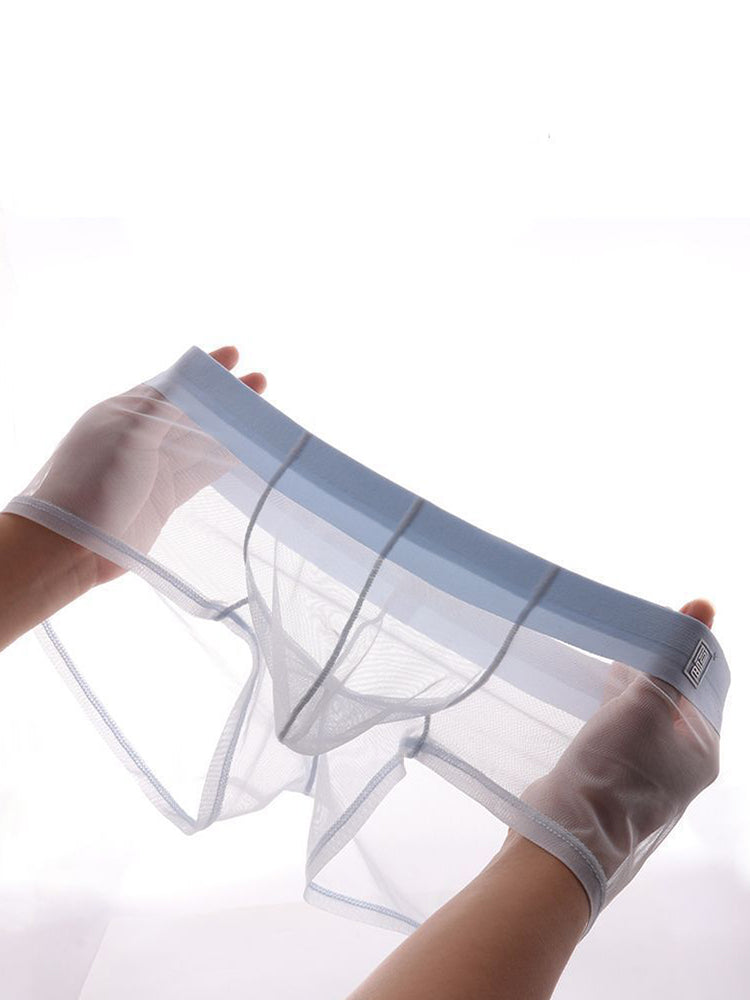 Men’s Sheer Mesh Trunks with U-Shaped Support Pouch