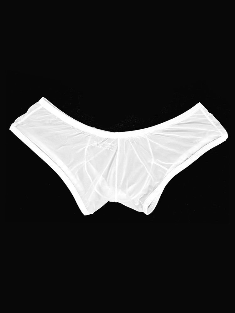 2 Pack Men's Breathable Sheer Elegance Quick-Dry Ultra-Soft Trunks