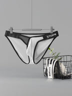 2 Pack Men's U-Pouch Sheer Mesh Briefs