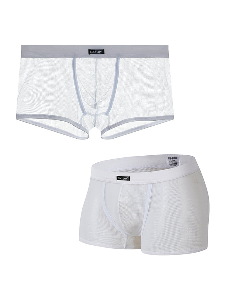 Men's Sexy Transparent Mesh Trunks