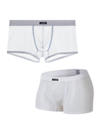 Men's Sexy Transparent Mesh Trunks
