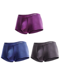3 Pack Men's Double Pouch Underwear Separate Pouch Modal Trunks