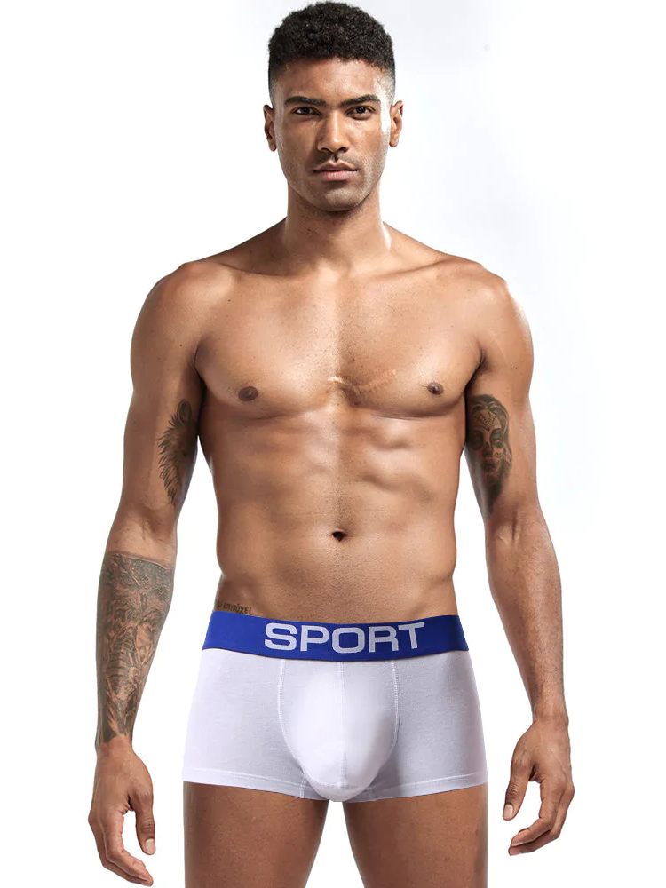 3 Pack Men's Structured Support Pouch Comfort Trunks