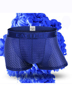 Men's Mesh Thin Ice Silk High-Stretch Comfy Waistband Trunks